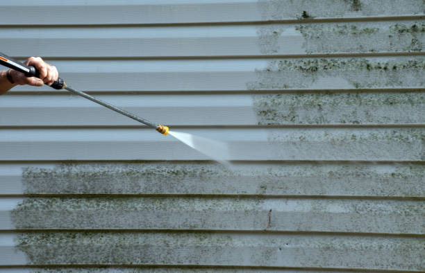 Best Solar Panel Cleaning  in Merryville, LA